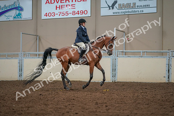 2019 Morgan Horse Show - Aug 30, 2019 - 22490