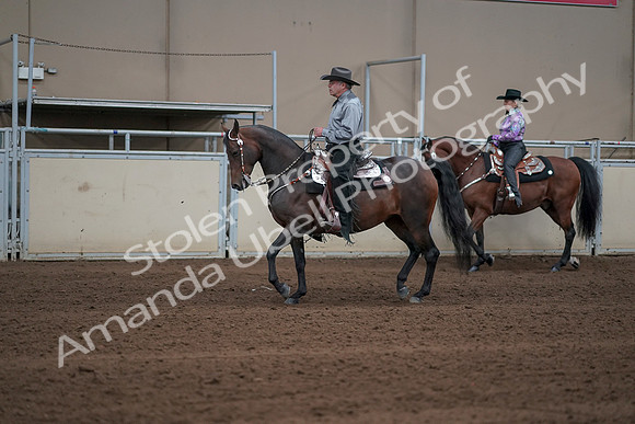 2019 Morgan Horse Show - Sept 01, 2019 - 06844