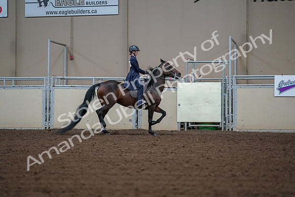 2019 Morgan Horse Show - Aug 30, 2019 - 18093