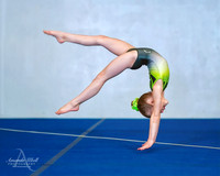 Fort Sask Gymnastics 2019 - Feb 17, 2019 - logo - 00862