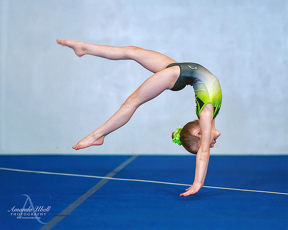 Fort Sask Gymnastics 2019 - Feb 17, 2019 - logo - 00862