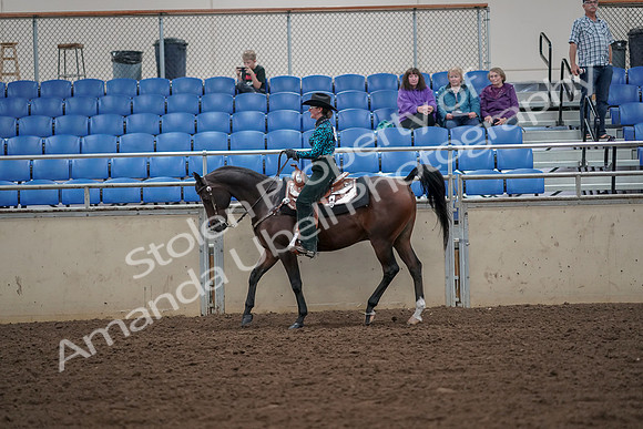 2019 Morgan Horse Show - Aug 30, 2019 - 25911