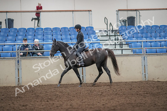 2019 Morgan Horse Show - Aug 31, 2019 - 07189