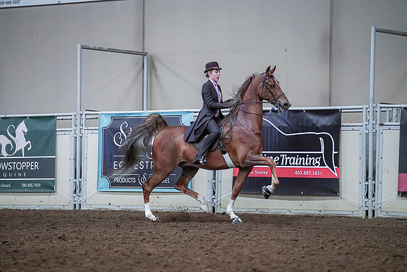 Spring Fling - Saturday - April 20, 2019  -  00549