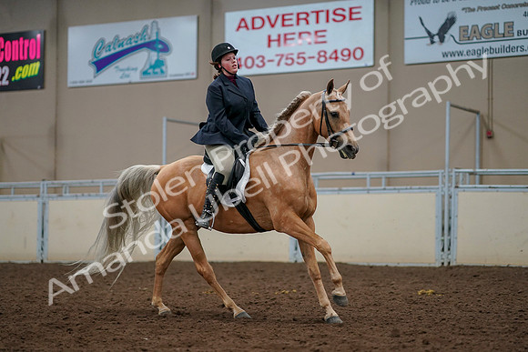 2019 Morgan Horse Show - Aug 30, 2019 - 22527