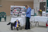2019 Morgan Horse Show - Sept 01, 2019 - 05892