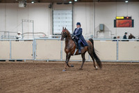 2020 - AB Morgan Horse - Fri, Sept 04 - 07855