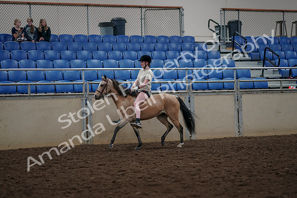 2019 Morgan Horse Show - Aug 30, 2019 - 31051