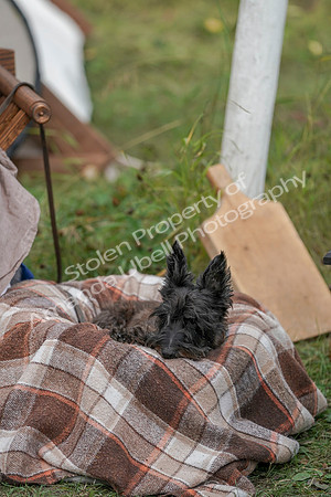 2019 Time Island Project - Sat, Sept 14 - Amanda - 03388