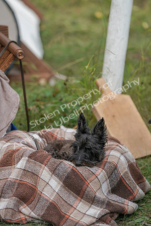 2019 Time Island Project - Sat, Sept 14 - Amanda - 03389