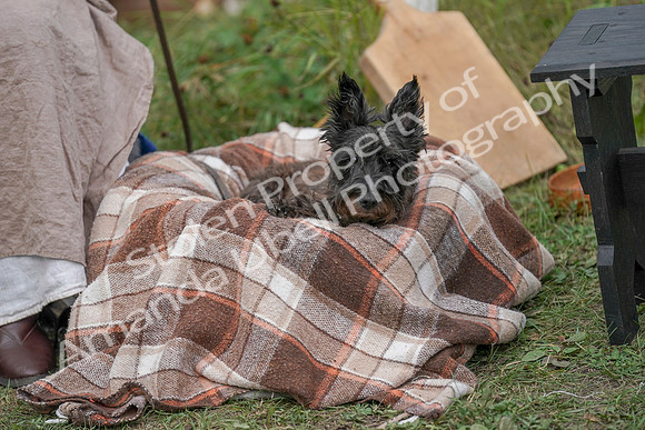 2019 Time Island Project - Sat, Sept 14 - Amanda - 03390