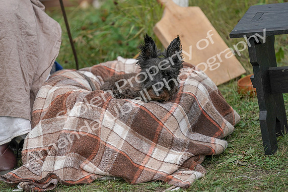 2019 Time Island Project - Sat, Sept 14 - Amanda - 03391