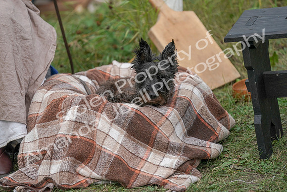 2019 Time Island Project - Sat, Sept 14 - Amanda - 03392