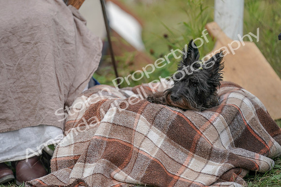 2019 Time Island Project - Sat, Sept 14 - Amanda - 03393