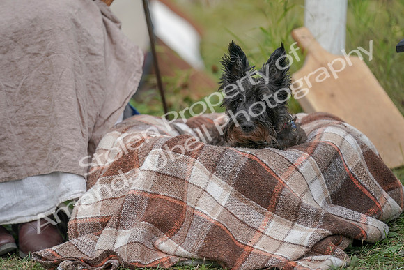 2019 Time Island Project - Sat, Sept 14 - Amanda - 03395