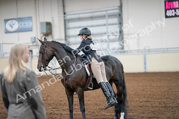 2020 - AB Morgan Horse - Fri, Sept 04 - 02082