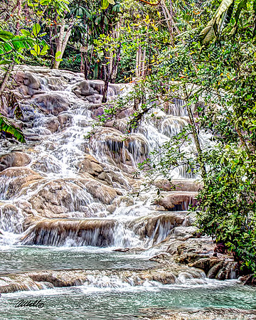 Jamaica - 031