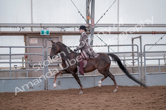 July 20, 2019 - 14453