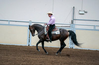2020 - AB Morgan Horse - Fri, Sept 04 - 00548