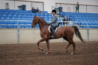 2019 Morgan Horse Show - Sept 01, 2019 - 12158