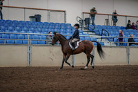 2019 Morgan Horse Show - Aug 31, 2019 - 05549