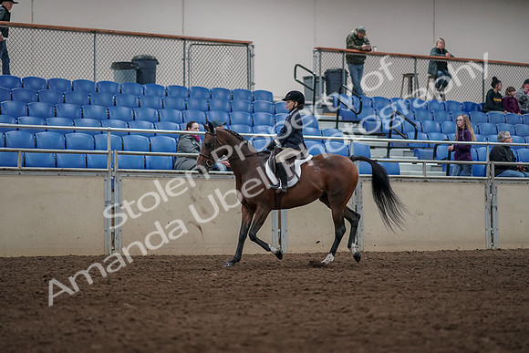 2019 Morgan Horse Show - Aug 31, 2019 - 05549