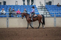 2019 Morgan Horse Show - Sept 01, 2019 - 06772