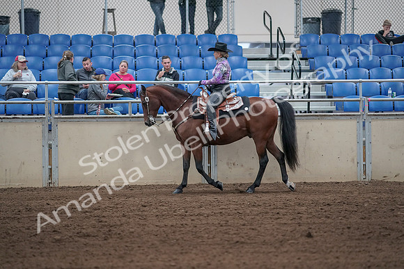 2019 Morgan Horse Show - Sept 01, 2019 - 06772