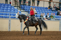 2020 - AB Morgan Horse - Sat, Sept 05 - 10360