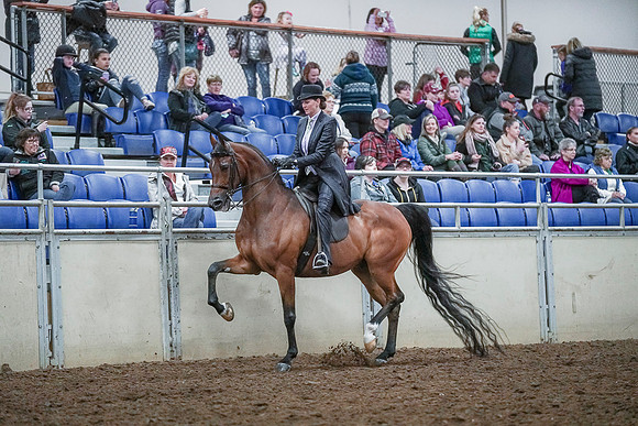 Spring Fling - Saturday - April 20, 2019  -  00641