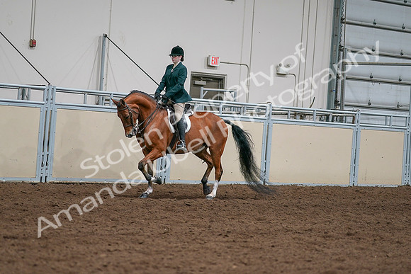 2020 - AB Morgan Horse - Sat, Sept 05 - 05003