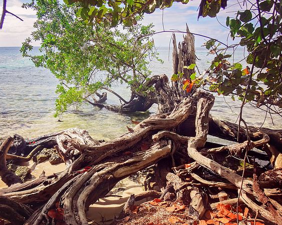 Jamaica - 065