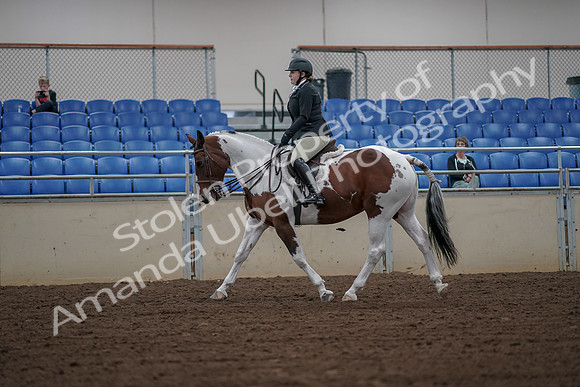 2019 Morgan Horse Show - Aug 30, 2019 - 14925