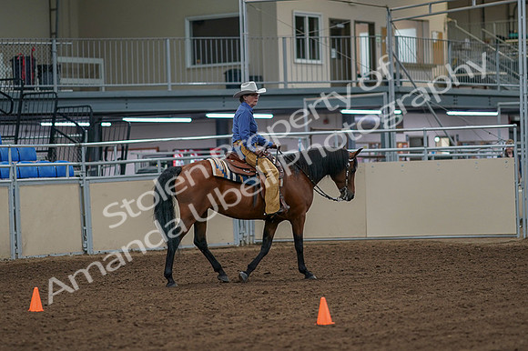 2020 - AB Morgan Horse - Fri, Sept 04 - 00296