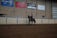 2019 Morgan Horse Show - Aug 30, 2019 - 28281