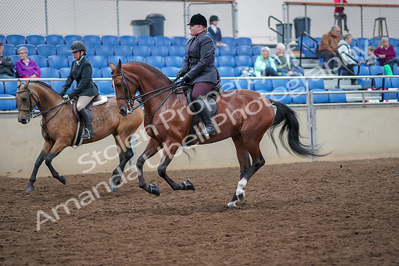 2019 Morgan Horse Show - Aug 30, 2019 - 20520