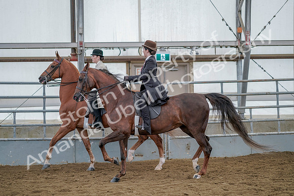 July 20, 2019 - 14595
