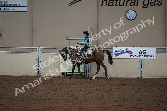 2019 Morgan Horse Show - Aug 30, 2019 - 26035