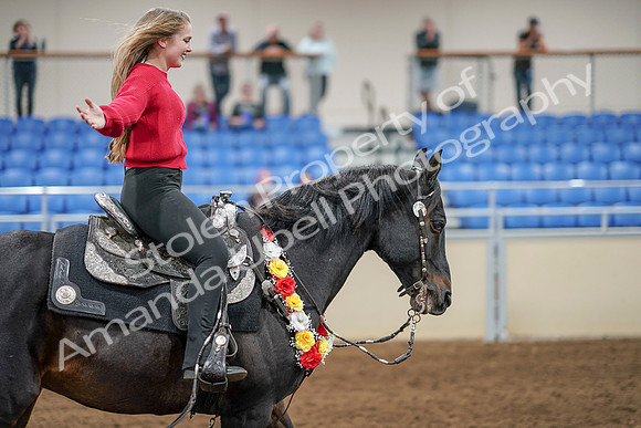 2020 - AB Morgan Horse - Sat, Sept 05 - 10572