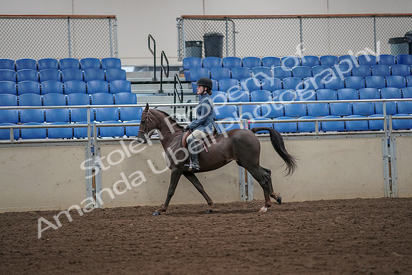 2019 Morgan Horse Show - Aug 31, 2019 - 05045