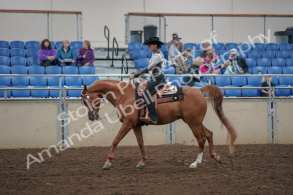 2019 Morgan Horse Show - Aug 30, 2019 - 26109