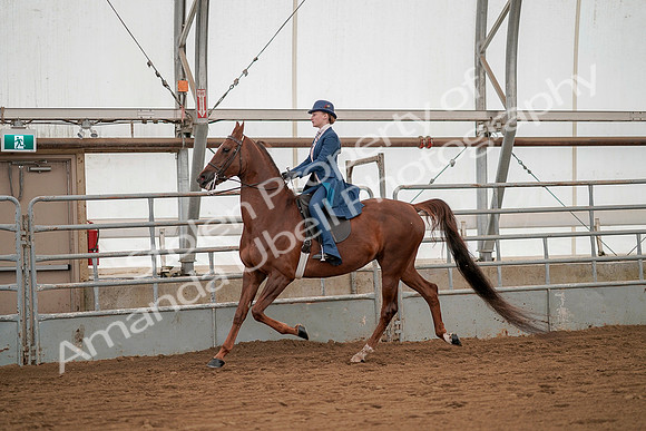 July 20, 2019 - 02119
