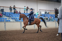 2019 Morgan Horse Show - Aug 31, 2019 - 08469