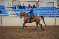 2020 - AB Morgan Horse - Sat, Sept 05 - 09701