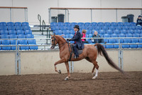 2019 Morgan Horse Show - Aug 31, 2019 - 16890