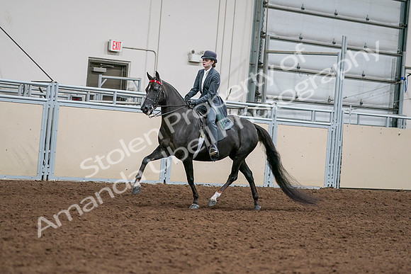 2020 - AB Morgan Horse - Sat, Sept 05 - 13626