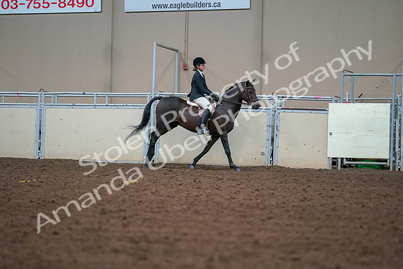 2019 Morgan Horse Show - Aug 30, 2019 - 21073