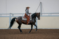 2020 - AB Morgan Horse - Fri, Sept 04 - 00413