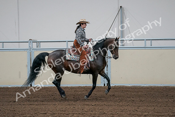 2020 - AB Morgan Horse - Fri, Sept 04 - 00413