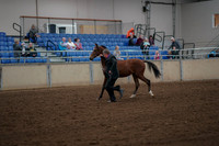 2019 Morgan Horse Show - Aug 30, 2019 - 25541